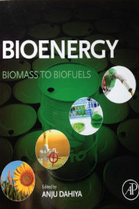 Bioenergy: Biomass to Biofuels